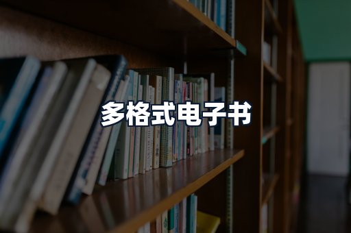 多格式电子书